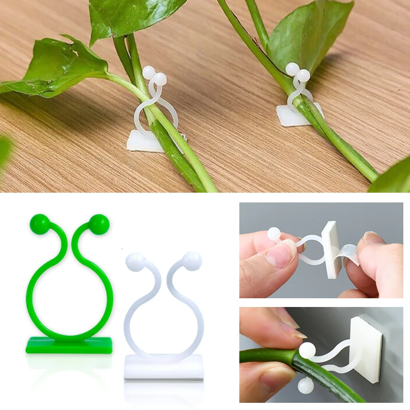 Plant Climbing Wall Self-Adhesive Fixed Buckle Hook Fastener Tied Fixture Vine Buckle Hook Garden Plant Wall Climbing Vine Clips
Plant Climbing Wall Self-Adhesive Fixed Buckle Hook Fastener Tied Fixture Vine Buckle Hook Garden Plant Wall Climbing Vine Clips