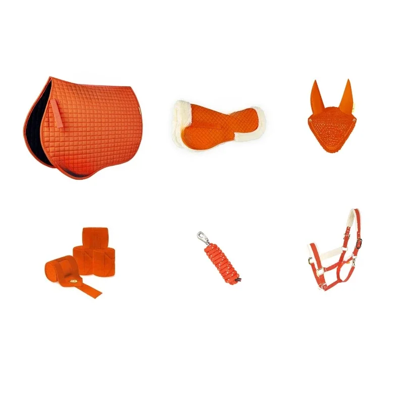 Set of riding equipment, horse earmuffs, sweat pad horse leggings, horse rope, shock pad, bridle
Set of riding equipment, horse earmuffs, sweat pad horse leggings, horse rope, shock pad, bridle