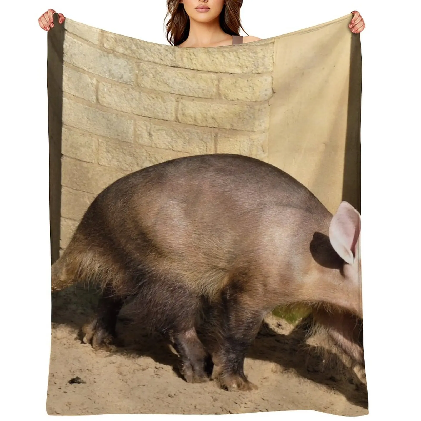 Aardvark Beauty Throw Blanket Soft Big Bed covers Summer Beddings Thins Blankets
Aardvark Beauty Throw Blanket Soft Big Bed covers Summer Beddings Thins Blankets