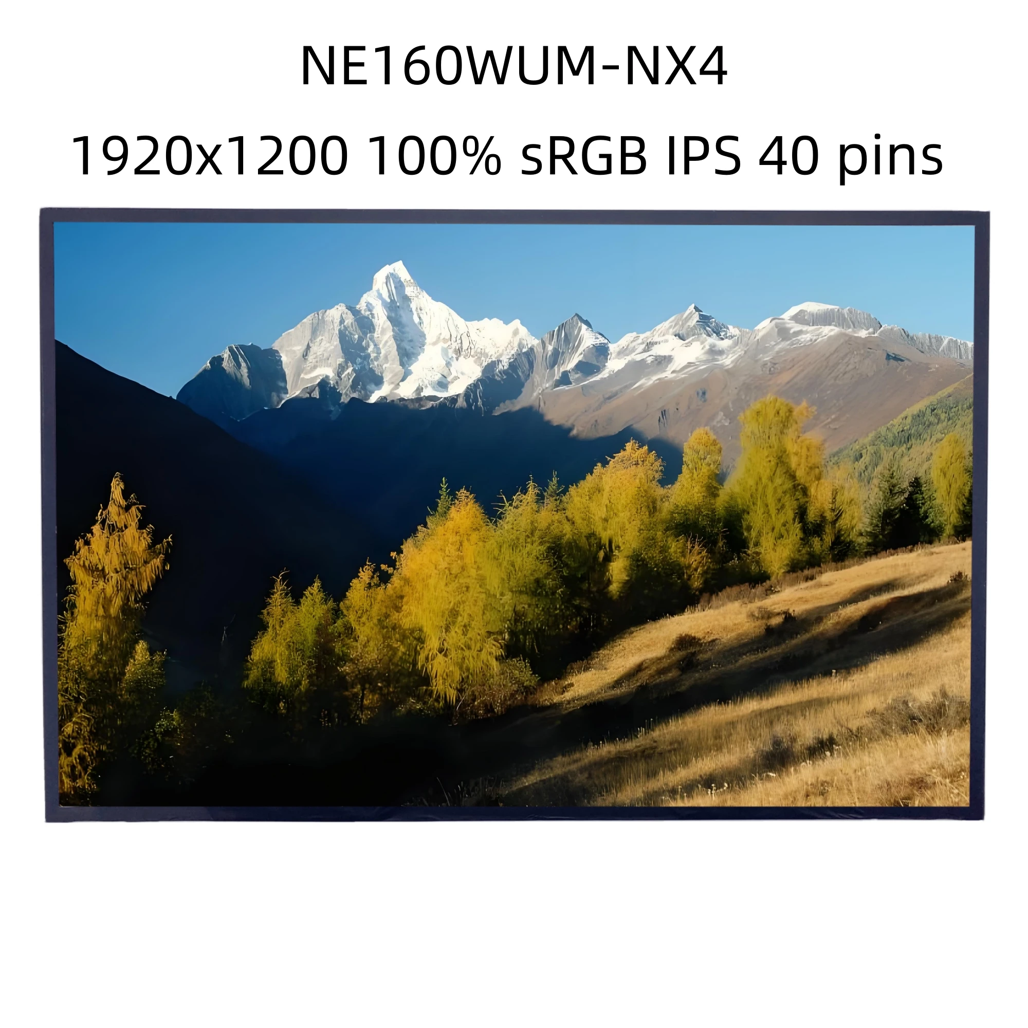 NE160WUM-NX4 V18.1 Laptop LCD screen IPS 16.0'' 1920x1200 Display Replacement Panel Matrix
NE160WUM-NX4 V18.1 Laptop LCD screen IPS 16.0'' 1920x1200 Display Replacement Panel Matrix