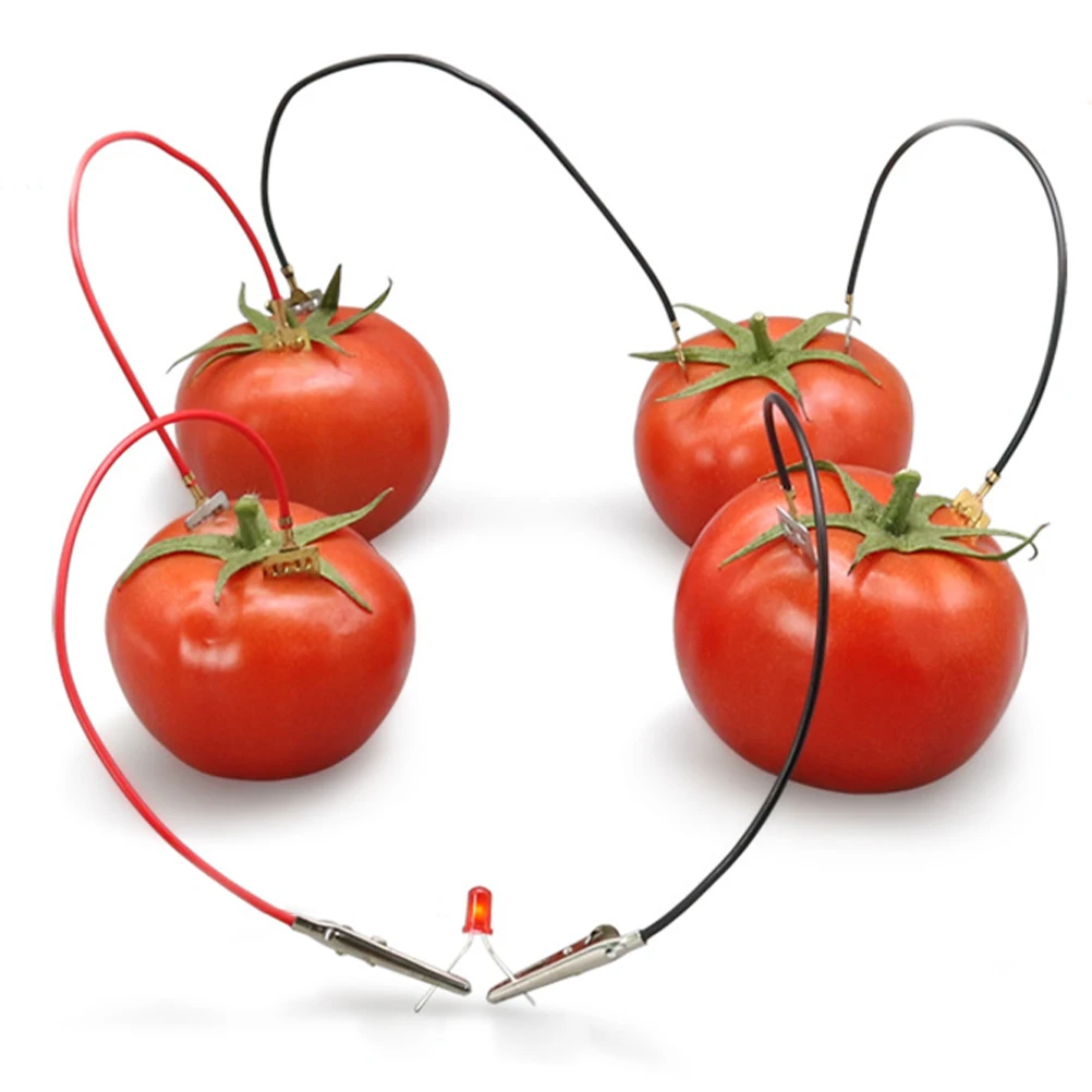 3 set 3 Sets Fruit Experiment Materials Stem Science Kit Diy Physics Teaching Lab For Kids Renewable Energy Learning
3 set 3 Sets Fruit Experiment Materials Stem Science Kit Diy Physics Teaching Lab For Kids Renewable Energy Learning