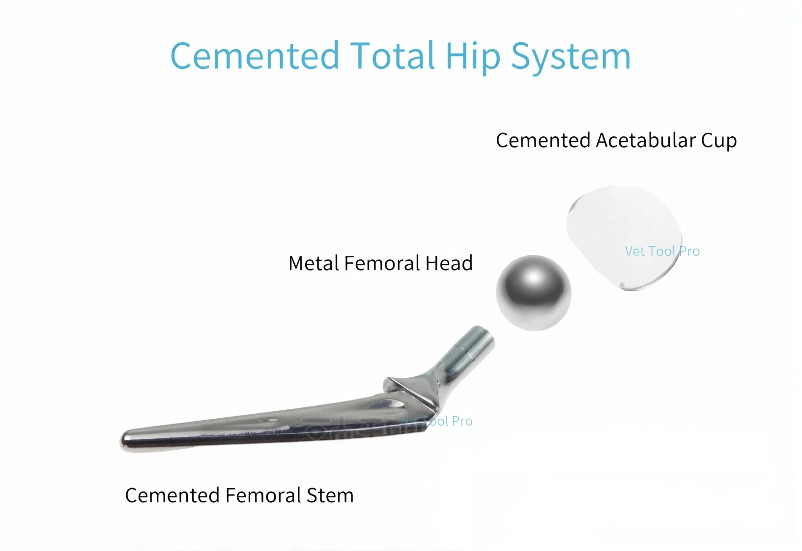 Cemented Total Hip System Cemented Femoral Stem Cemented Acetabular Cup Metal Femoral Head Veterinary Orthopedic Instruments
Cemented Total Hip System Cemented Femoral Stem Cemented Acetabular Cup Metal Femoral Head Veterinary Orthopedic Instruments