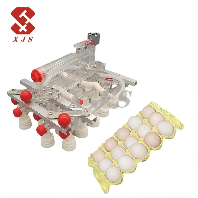 Chicken Eggs Vaccum Trays Egg Suction Lifter Machine
Chicken Eggs Vaccum Trays Egg Suction Lifter Machine