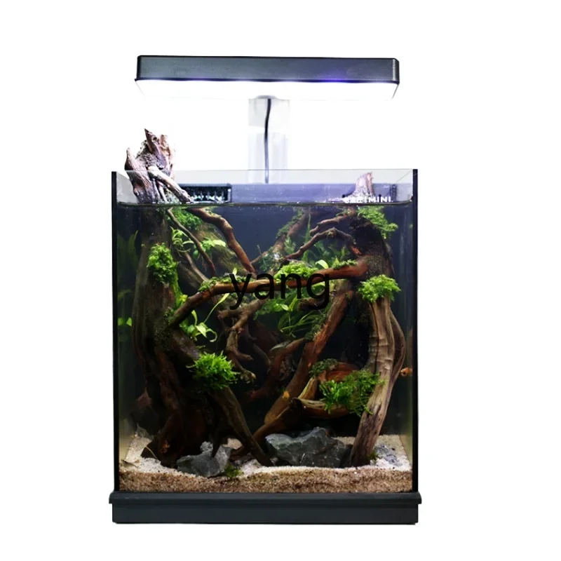 LTT Small Living Room Ecological Super White Glass Mini Desktop Betta Tank Home Aquarium
LTT Small Living Room Ecological Super White Glass Mini Desktop Betta Tank Home Aquarium