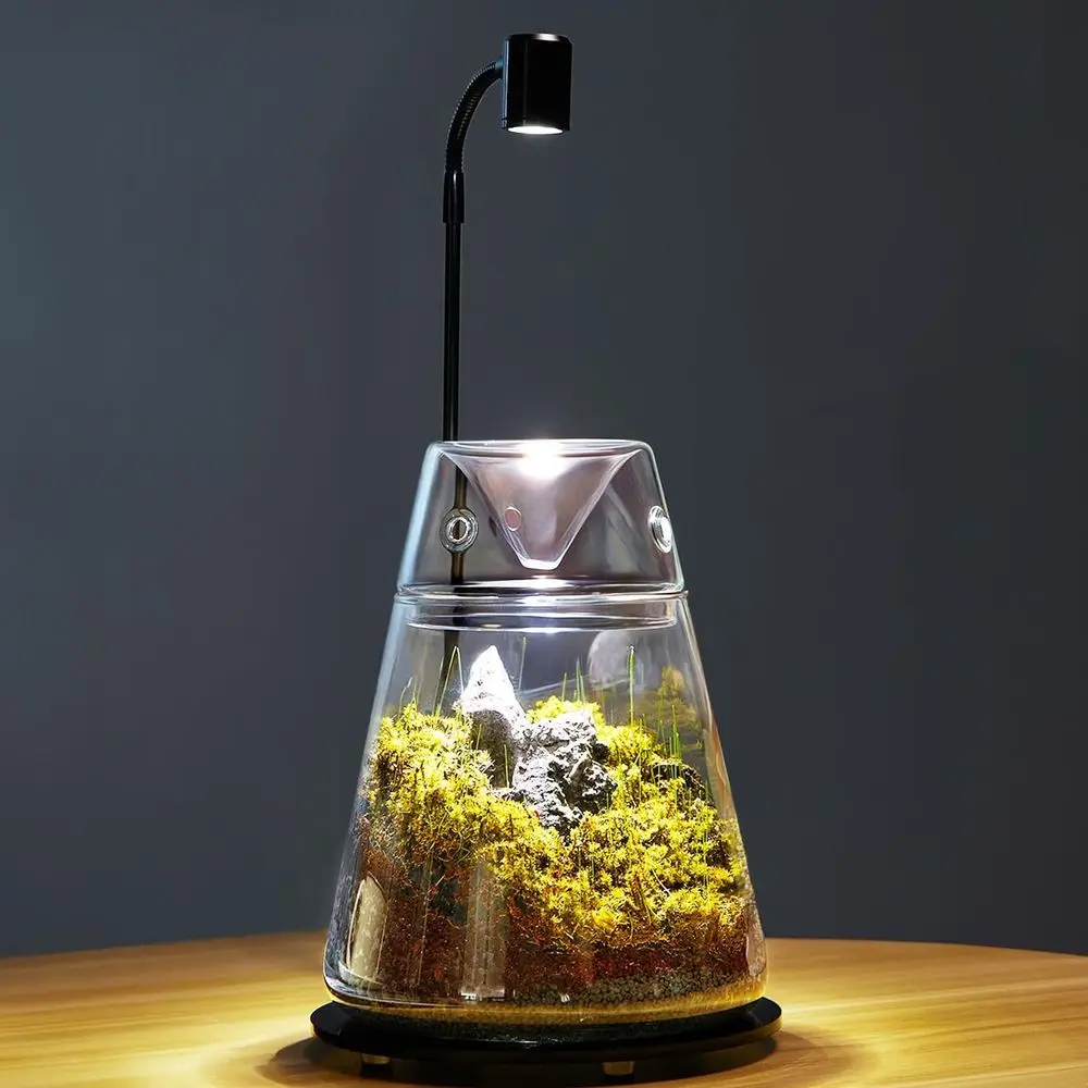 Glass Plant Terrarium with Lid 6.3"X7.9" Inches Succulent Air Planter Fern Moss Micro-Landscape Vase for Home Office Tabletop De
Glass Plant Terrarium with Lid 6.3"X7.9" Inches Succulent Air Planter Fern Moss Micro-Landscape Vase for Home Office Tabletop De