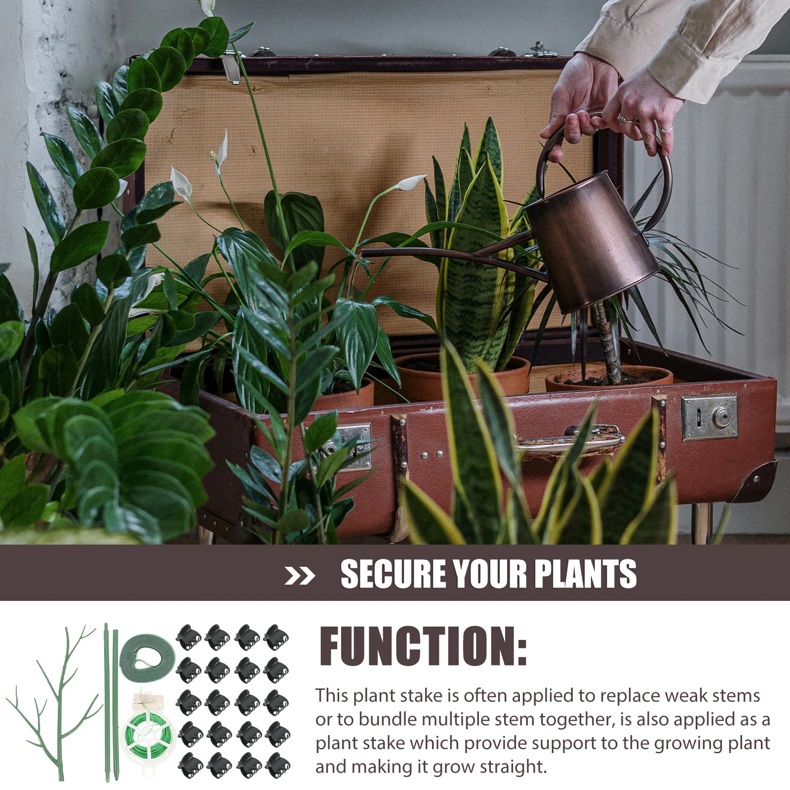 Plant Climbing Frame Plastic Sticks Indoor Outdoor Garden Vine Stem Clips Supports Plant Holder Gardening Accessories
Plant Climbing Frame Plastic Sticks Indoor Outdoor Garden Vine Stem Clips Supports Plant Holder Gardening Accessories