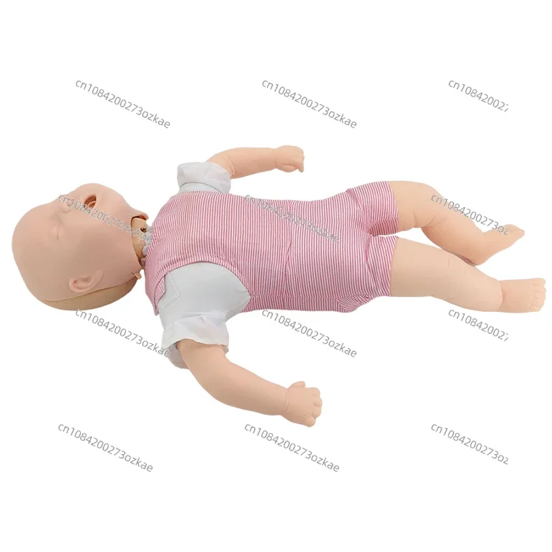 Baby Infarction Model Human Infant Airway Obstruction Heimlich Medical CPR Training Manikin
Baby Infarction Model Human Infant Airway Obstruction Heimlich Medical CPR Training Manikin