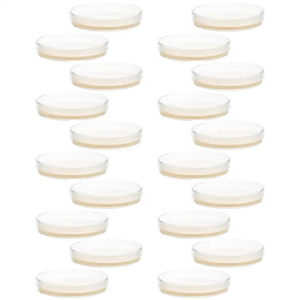 20 Pcs Science Nutrient Agar Plate Experiment Plates for Laboratory with Cover Cell Culture Dish
20 Pcs Science Nutrient Agar Plate Experiment Plates for Laboratory with Cover Cell Culture Dish