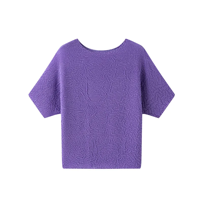 Miyake Pleated T-shirt Short-sleeved Women's T-shirt Summer 2025 New Loose Tops Women Hundred Solid Color Bottoming Shirt
Miyake Pleated T-shirt Short-sleeved Women's T-shirt Summer 2025 New Loose Tops Women Hundred Solid Color Bottoming Shirt