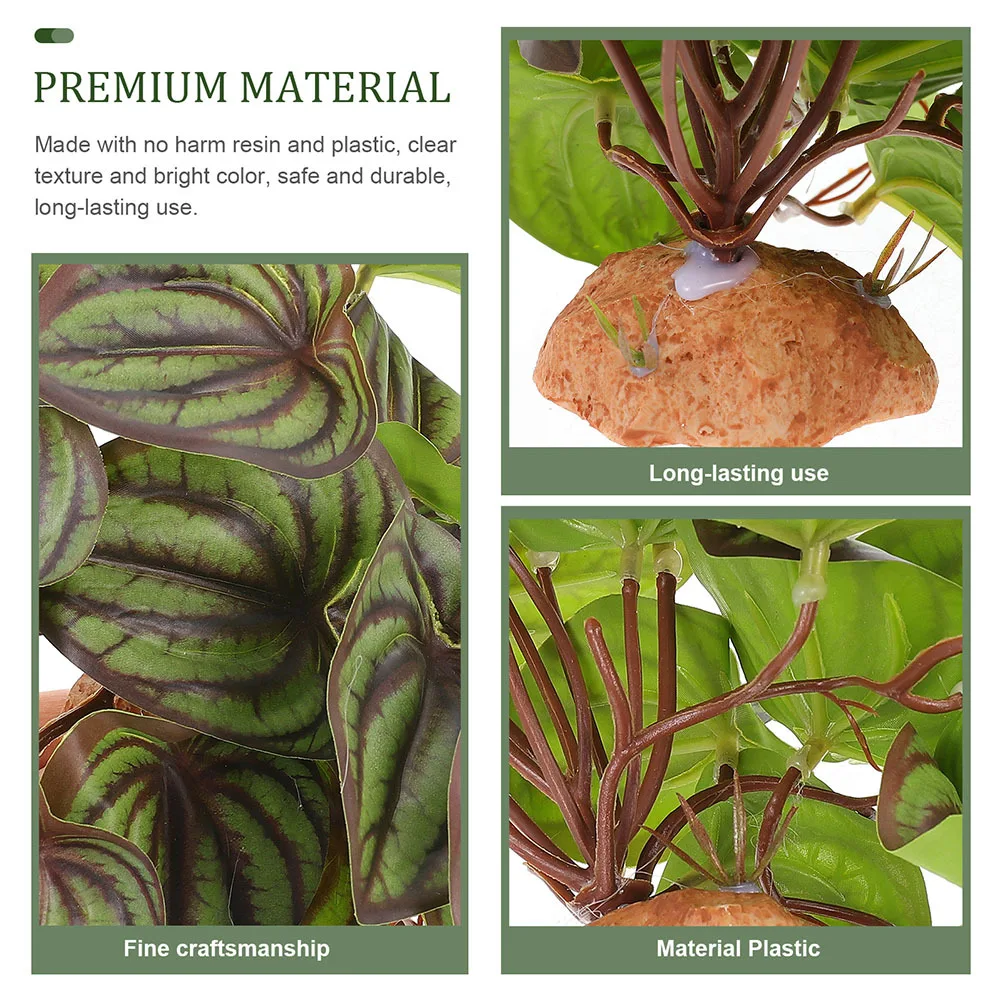 Artificial Reptile Plants Realistic Terrarium Plant Ornament Fish Tank Aquarium Decorative Reptile Habitat Plants
Artificial Reptile Plants Realistic Terrarium Plant Ornament Fish Tank Aquarium Decorative Reptile Habitat Plants