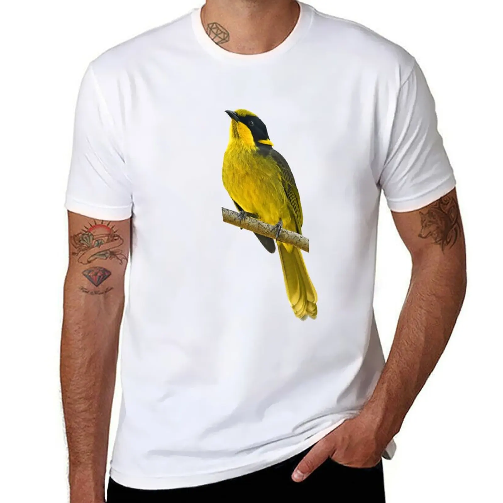 Helmeted Honeyeater 2 T-Shirt t shirt for man 100 percent cotton t shirt custom print T-Shirt
Helmeted Honeyeater 2 T-Shirt t shirt for man 100 percent cotton t shirt custom print T-Shirt