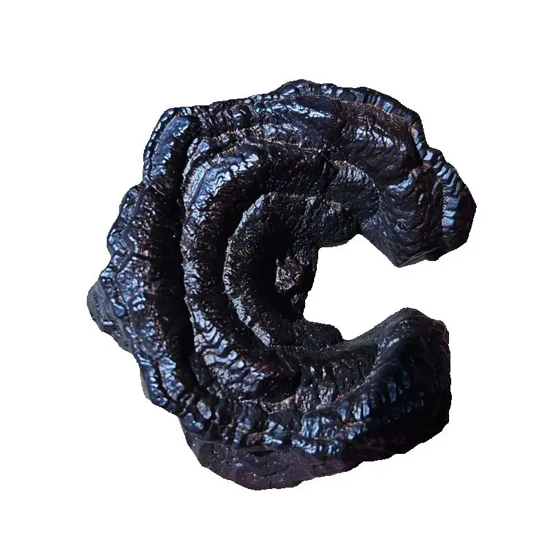 Natural Egyptian Black King Kong Prophecy Stone Raw Mineral Specimen Healing Crystal Palm Stone Desk Decor
Natural Egyptian Black King Kong Prophecy Stone Raw Mineral Specimen Healing Crystal Palm Stone Desk Decor