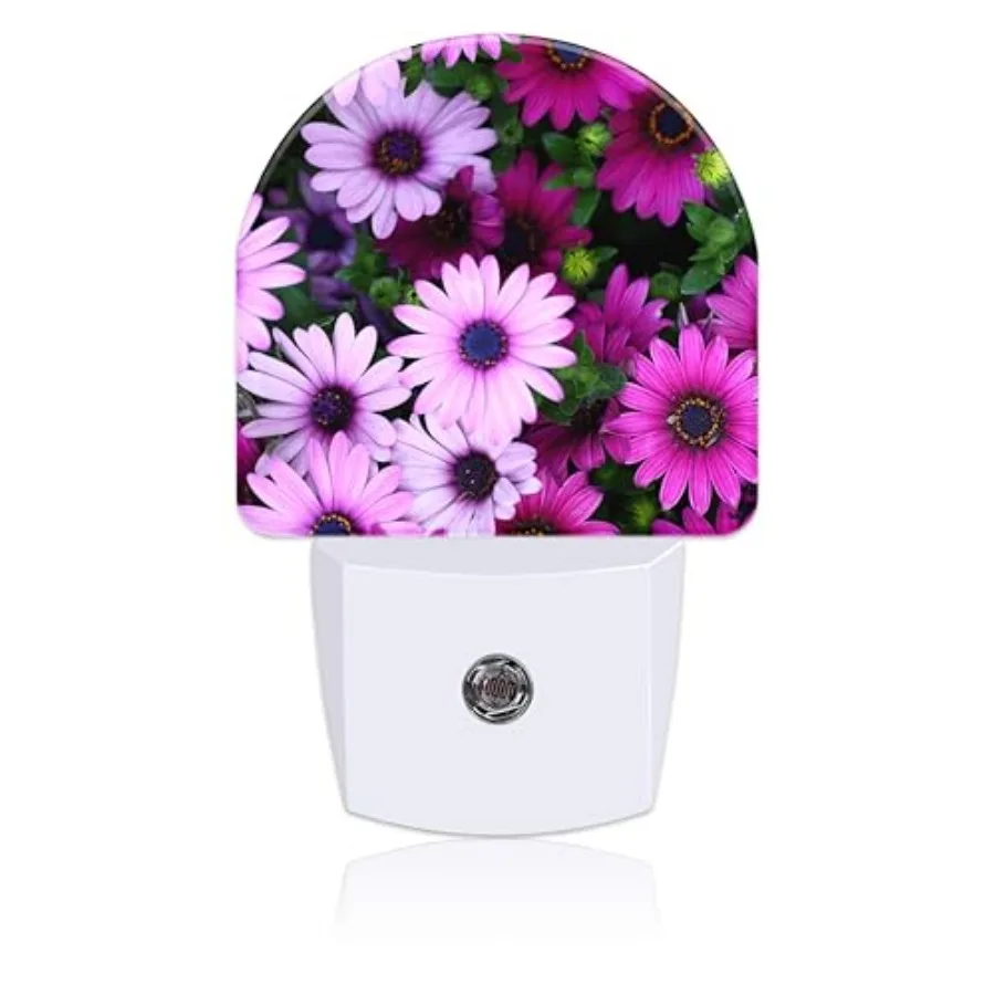 Night Light Plug into Wall with Dusk to Dawn Sensor Cute Nightlight for Kid Girls Boys Women Men Room Decor, Hallway, Kitchen,
Night Light Plug into Wall with Dusk to Dawn Sensor Cute Nightlight for Kid Girls Boys Women Men Room Decor, Hallway, Kitchen,