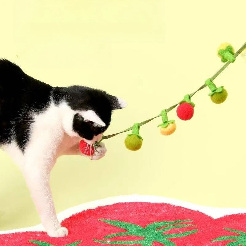 Cartoon Tomato Cat Scratch Toy Portable with Bell Simulated Fruit Cat Interactive Toy Plush Funny Hanging Door Cat Toy
Cartoon Tomato Cat Scratch Toy Portable with Bell Simulated Fruit Cat Interactive Toy Plush Funny Hanging Door Cat Toy