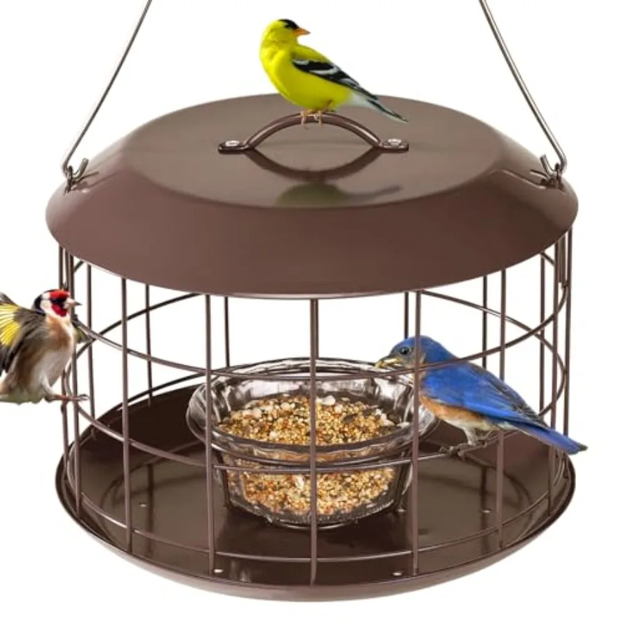 Kingsyard Bluebird Feeders for Outdoors Hanging and Kingsyard Squirrel-Proof Bird Feeder
Kingsyard Bluebird Feeders for Outdoors Hanging and Kingsyard Squirrel-Proof Bird Feeder