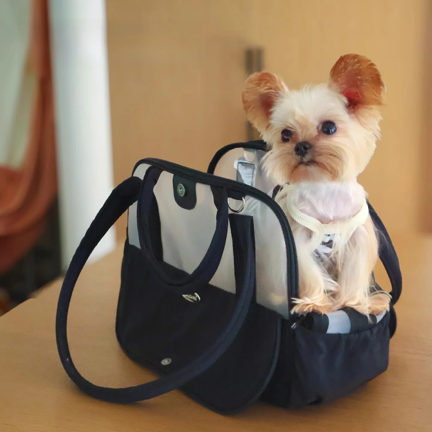 Сумка-переноска для животных Hajimi Pet: портативная, вместительная, дышащая, для собак, для использования на улице, аксессуары для животных
Сумка-переноска для животных Hajimi Pet: портативная, вместительная, дышащая, для собак, для использования на улице, аксессуары для животных