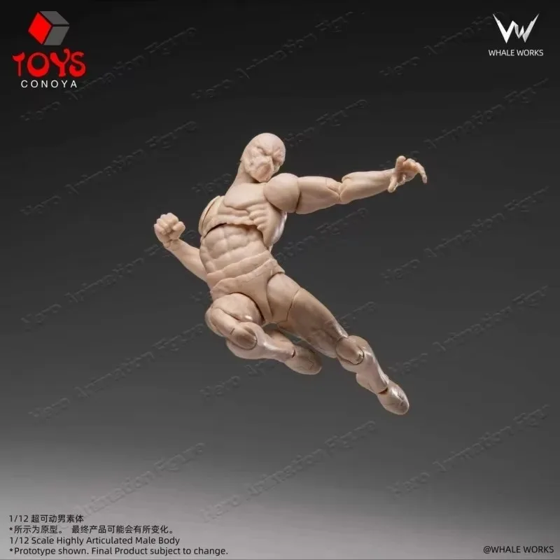 In Stock WHALE WORKS WW03 1/12 Scale ASH Male Hyper Articulated Body Model 6 Inch Soldier Action Figure Collectible Gift
In Stock WHALE WORKS WW03 1/12 Scale ASH Male Hyper Articulated Body Model 6 Inch Soldier Action Figure Collectible Gift