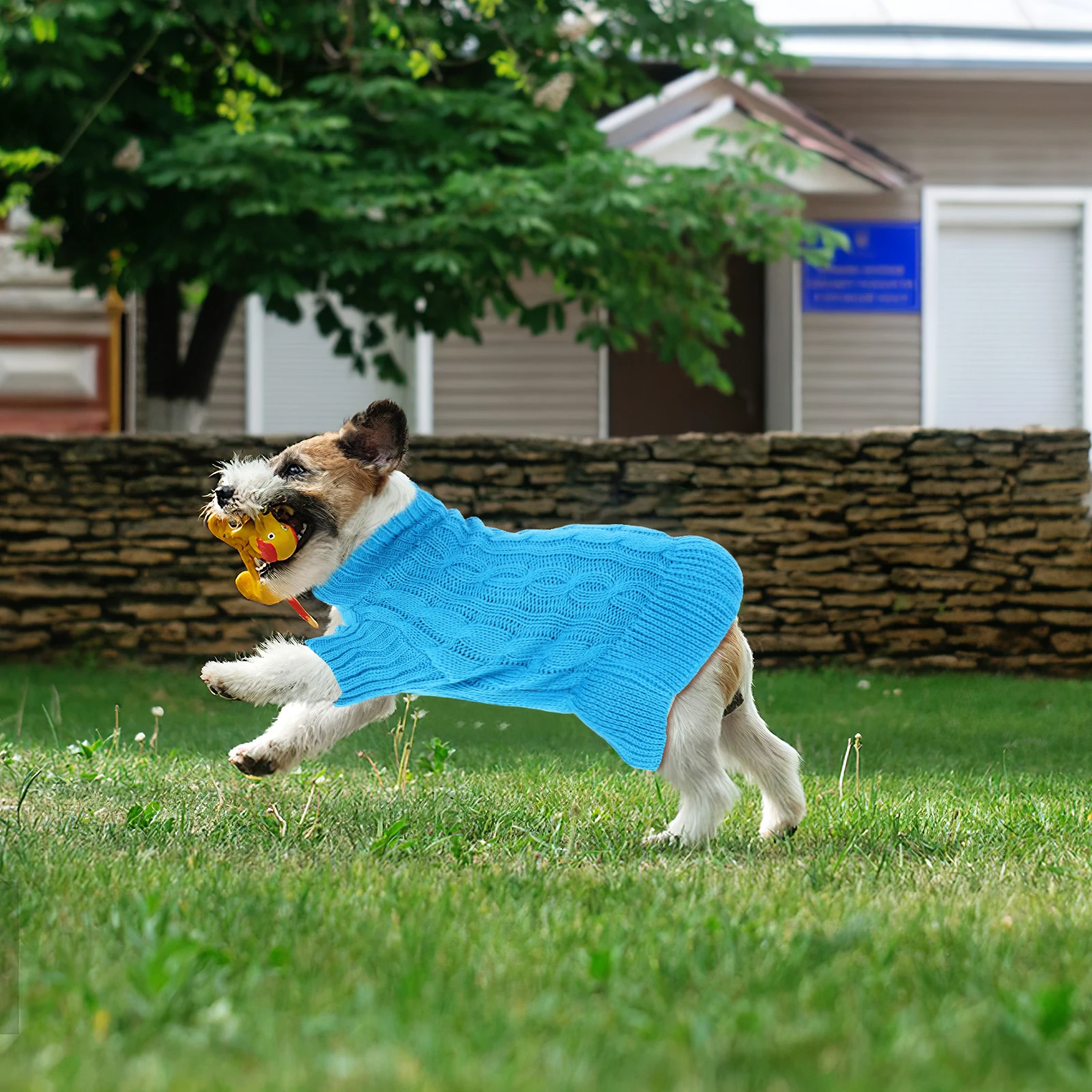 High Neck Pet Sweater S Size Warm Dog Clothes Adorable Winter Vest Cozy Cat Clothes Soft Comfortable Decorative Puppy Style 
High Neck Pet Sweater S Size Warm Dog Clothes Adorable Winter Vest Cozy Cat Clothes Soft Comfortable Decorative Puppy Style