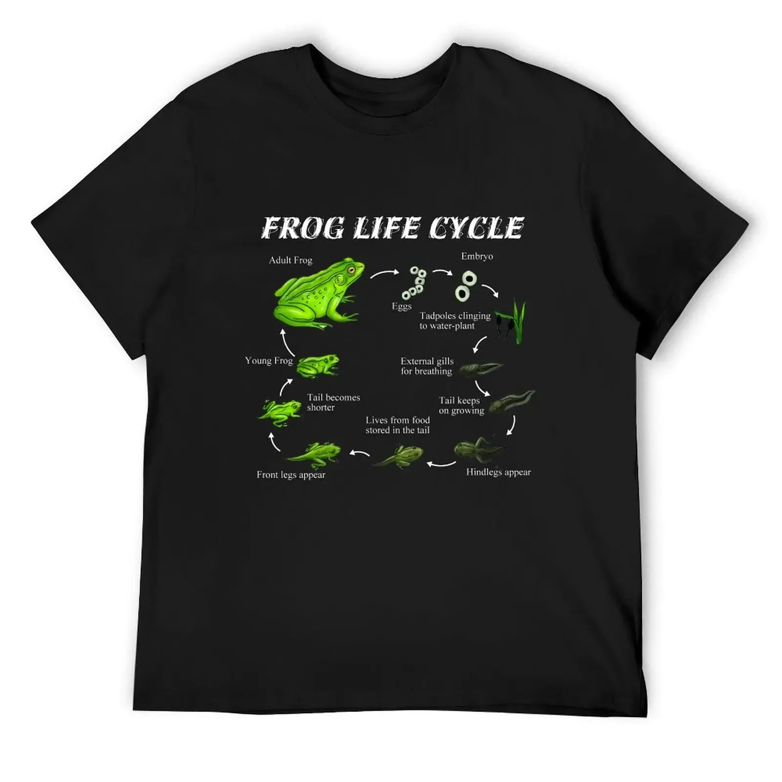 Frog life cycle T-Shirt oversized graphic tee anime shirt plus size tops mens fashion
Frog life cycle T-Shirt oversized graphic tee anime shirt plus size tops mens fashion
