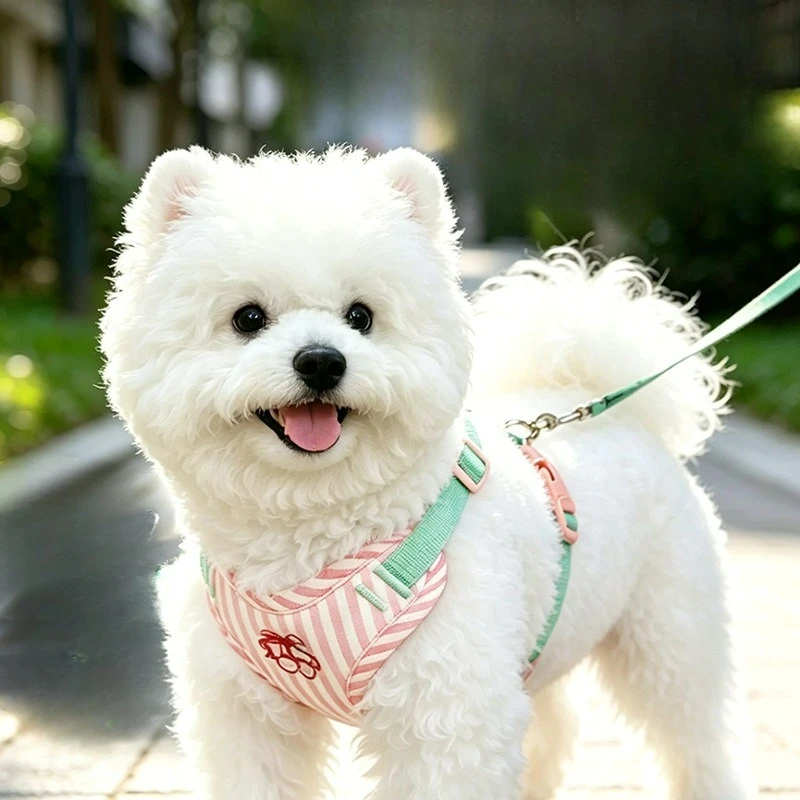 Pet Products Elegant Dog Collars Harness Leash Set Chic Puppy Fashion for Small Medium Breeds Adjustable Luxury Pet Walking Gear
Pet Products Elegant Dog Collars Harness Leash Set Chic Puppy Fashion for Small Medium Breeds Adjustable Luxury Pet Walking Gear