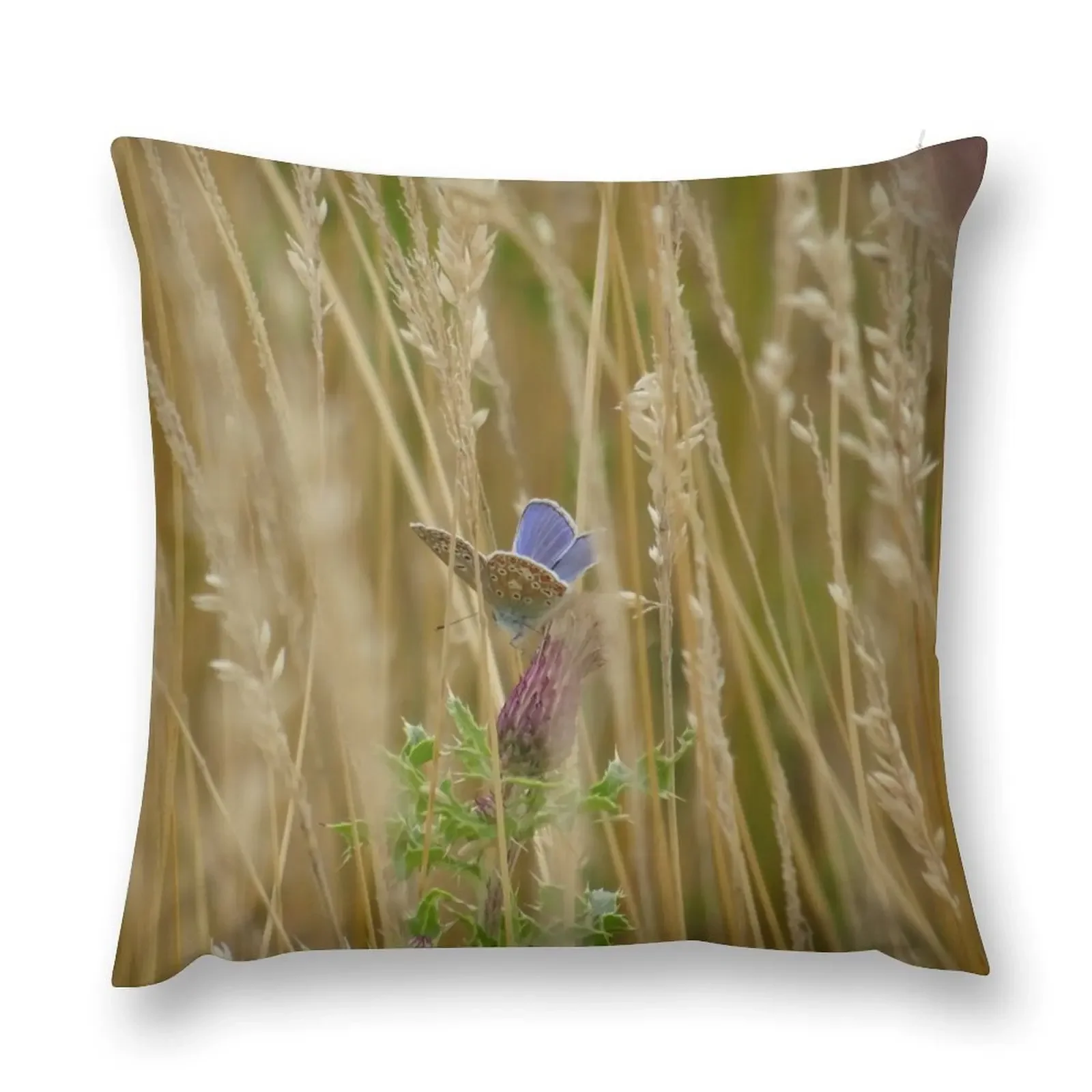 Adonis blue butterfly through the grass Throw Pillow covers for pillows Christmas Covers For Cushions sleeping pillows pillow
Adonis blue butterfly through the grass Throw Pillow covers for pillows Christmas Covers For Cushions sleeping pillows pillow