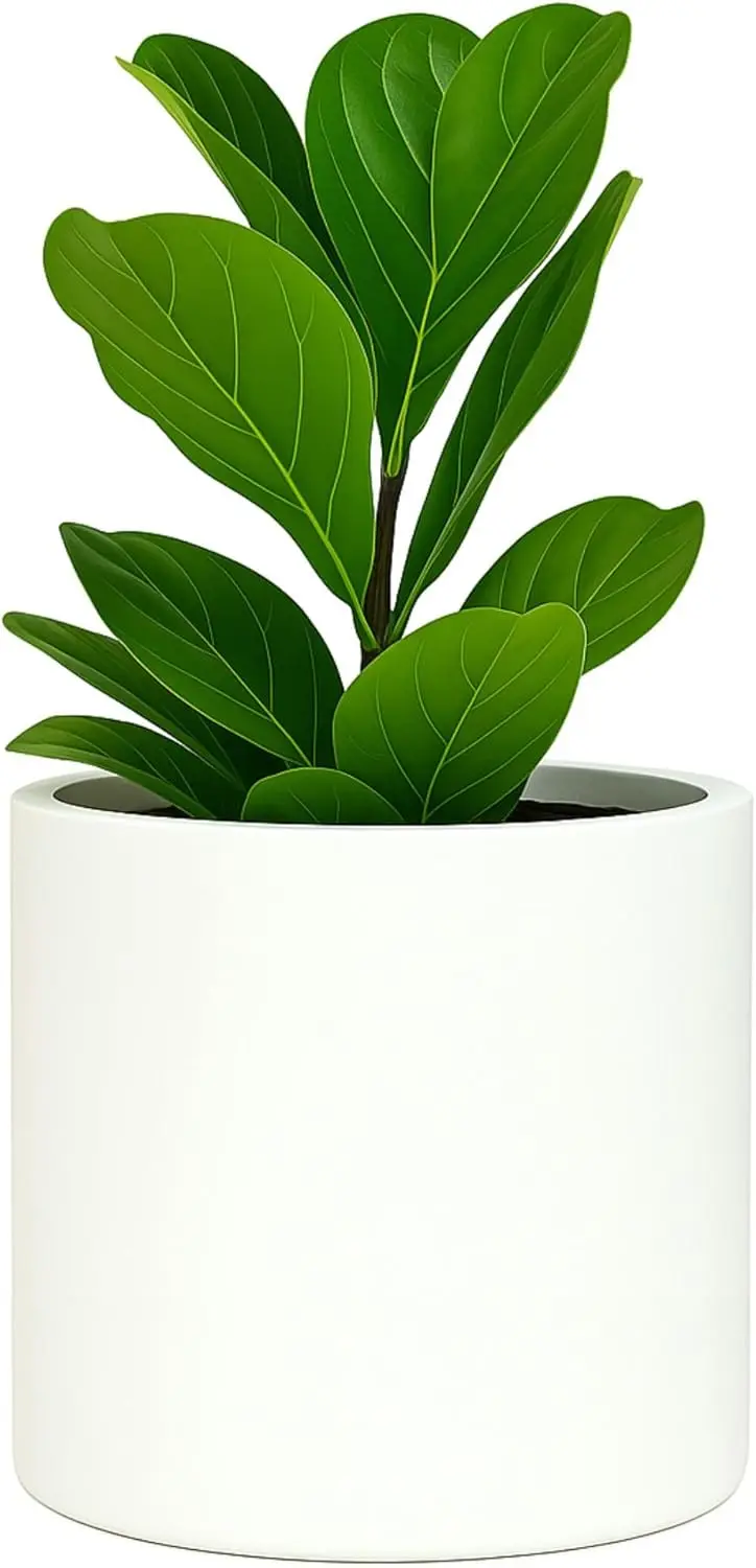 Plant Pot, Large Plant Pots for Indoor & Outdoor, UV & Frost Resistant Plant Vase with Drainage Plug, Fiberstone, Large Indoo
Plant Pot, Large Plant Pots for Indoor & Outdoor, UV & Frost Resistant Plant Vase with Drainage Plug, Fiberstone, Large Indoo