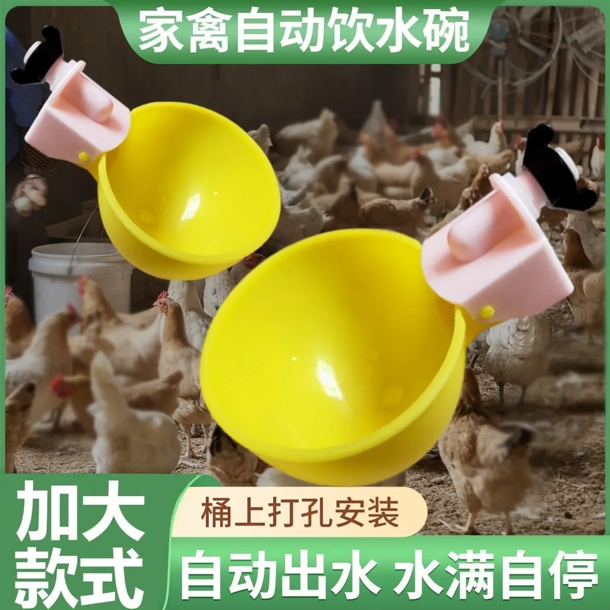 50 шт. автоматическая миска для воды, миска для домашних животных, кошек, диспенсер для птиц, миска для перепела, голубя, раковина для курицы
50 шт. автоматическая миска для воды, миска для домашних животных, кошек, диспенсер для птиц, миска для перепела, голубя, раковина для курицы