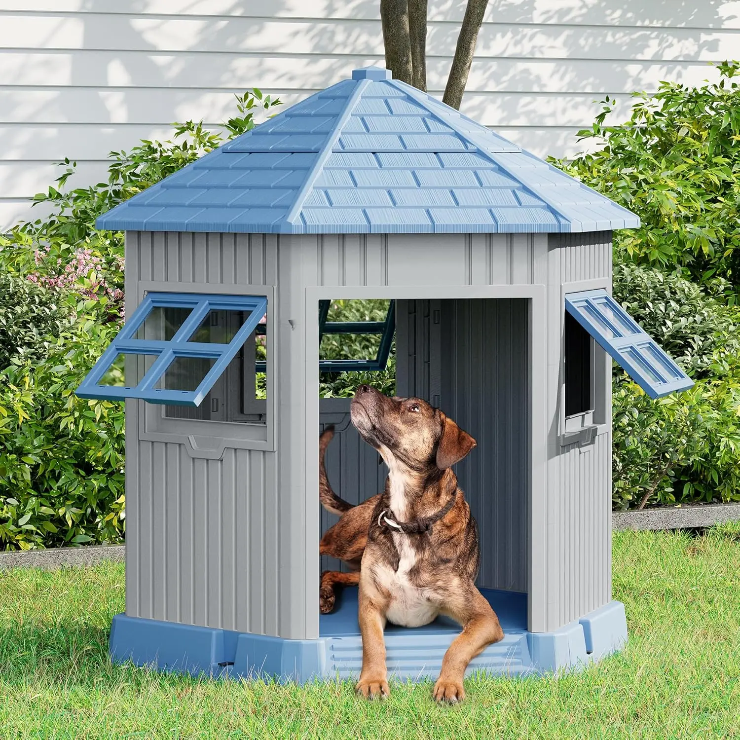 Dog House Indoor Outdoor for Small Medium Dogs Weatherproof Puppy Shelter with Elevated Floor Air Vents Easy Clean and Assemble
Dog House Indoor Outdoor for Small Medium Dogs Weatherproof Puppy Shelter with Elevated Floor Air Vents Easy Clean and Assemble