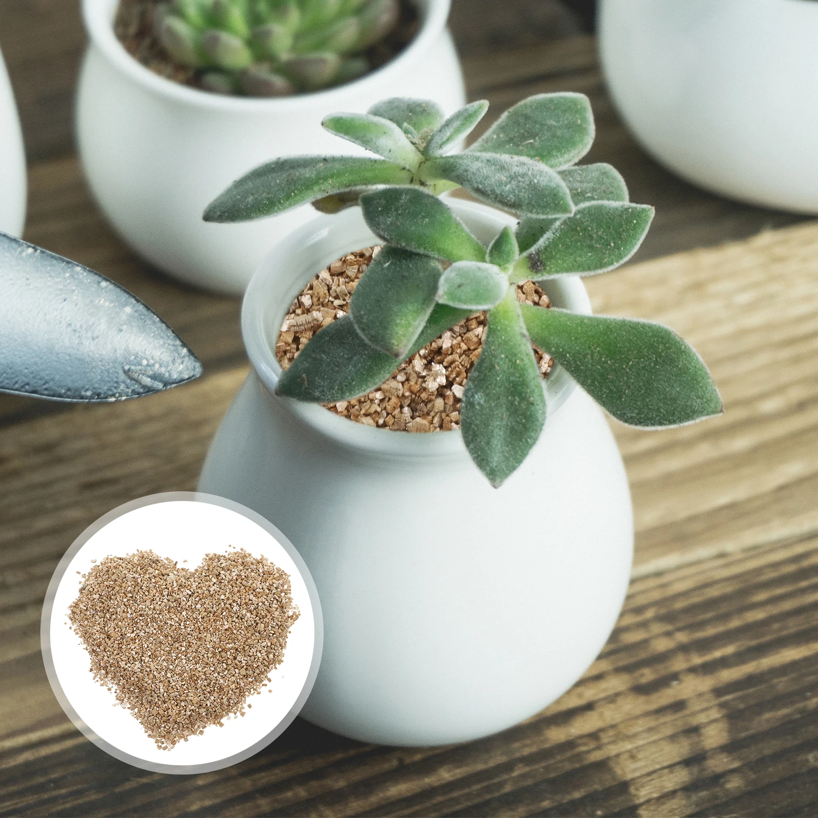 Expanded Vermiculite 3L Neutral PH for Plants Mushrooms Terrarium Gardening Supplies Christmas Wood Chips Fine Granules
Expanded Vermiculite 3L Neutral PH for Plants Mushrooms Terrarium Gardening Supplies Christmas Wood Chips Fine Granules