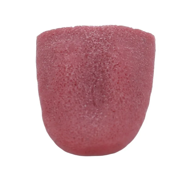 Red simulated fake tongue, scary and scary magic props, tricky toys, stage props can stretch the fake tongue
Red simulated fake tongue, scary and scary magic props, tricky toys, stage props can stretch the fake tongue