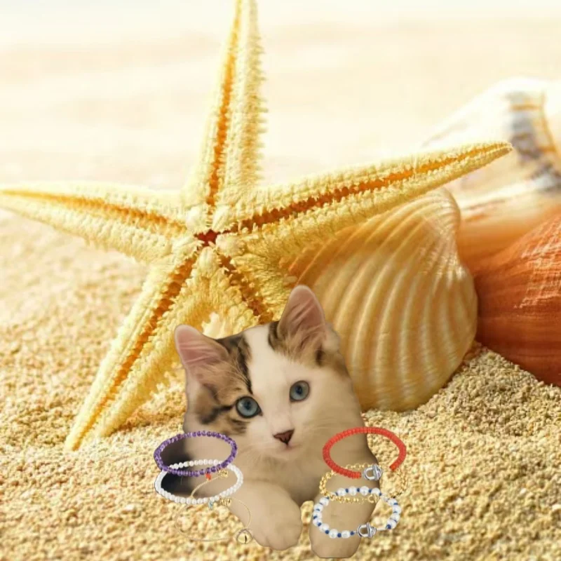 2025 Cat Jewelry Spain Original Jewelry Bead Bracelet Bracelet Fashion Simple Girl High Quality Gift 
2025 Cat Jewelry Spain Original Jewelry Bead Bracelet Bracelet Fashion Simple Girl High Quality Gift