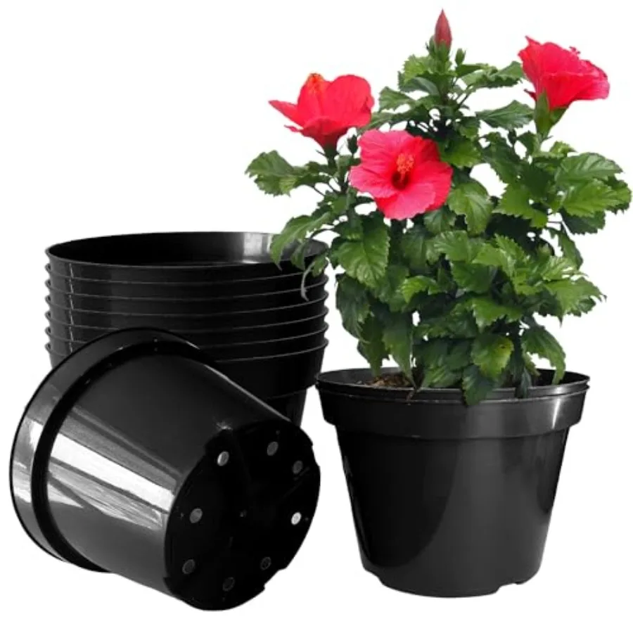 Plastic Nursery Pots for Plants Plant Pots with Drainage Holes 2 Gallon Nursery Pots Perfect for Indoor Outdoor Plants Such as
Plastic Nursery Pots for Plants Plant Pots with Drainage Holes 2 Gallon Nursery Pots Perfect for Indoor Outdoor Plants Such as