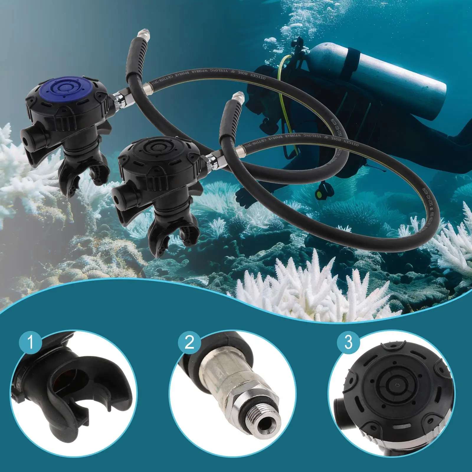 Diving Regulator Professional Second Stage Adjustable Scuba Accessory for Water Sports Replacement
Diving Regulator Professional Second Stage Adjustable Scuba Accessory for Water Sports Replacement