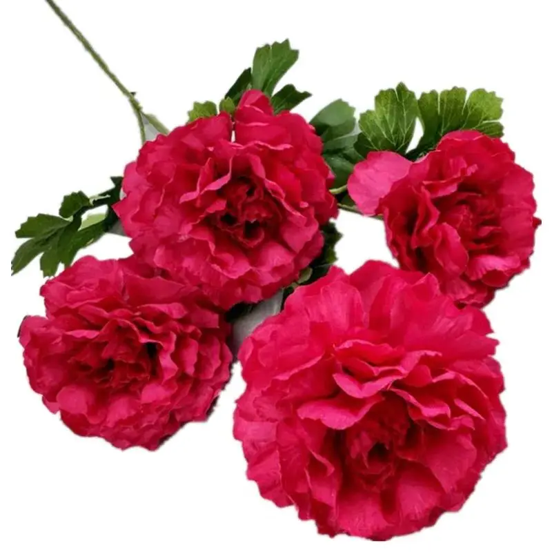 5Pcs Faux Long Stem Spring Buttercup Flower (4 Heads/Piece) Simulaiton Metanemone Ranunculoides for Wedding Centerpieces 9 Color
5Pcs Faux Long Stem Spring Buttercup Flower (4 Heads/Piece) Simulaiton Metanemone Ranunculoides for Wedding Centerpieces 9 Color