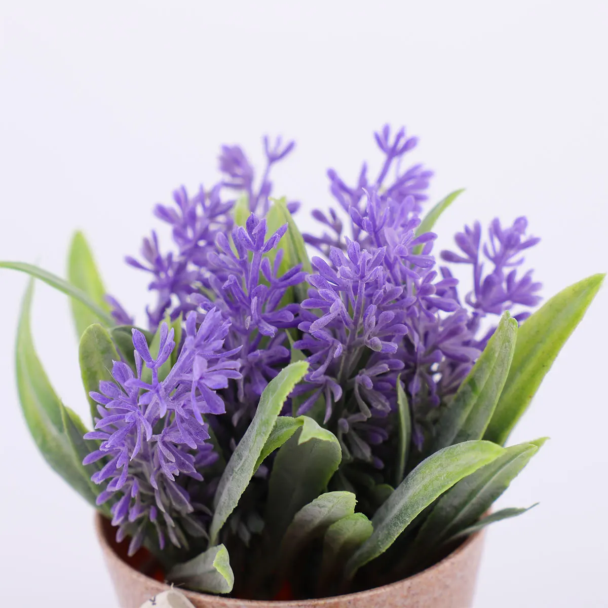 Artificial Bonsai Simulation Basil Plant nament Lifelike Plastic Home Office Decor Fake Lavender Potted Long Term Use Exquisite
Artificial Bonsai Simulation Basil Plant nament Lifelike Plastic Home Office Decor Fake Lavender Potted Long Term Use Exquisite