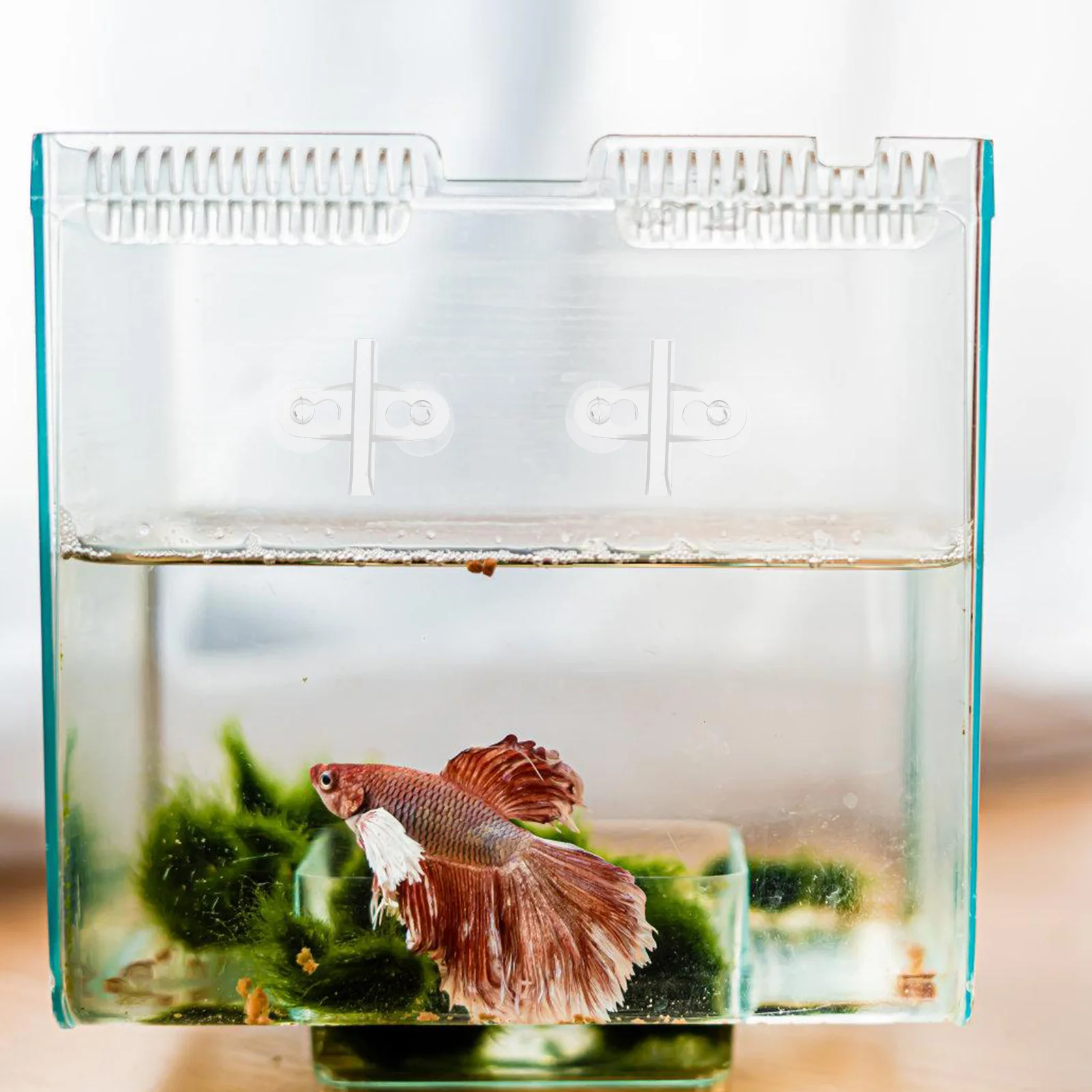 12Pcs Divider Holders for Aquariums High Quality Material Safe for Fish Tanks No Interference Filter Heater Fish Tank Supplies 
12Pcs Divider Holders for Aquariums High Quality Material Safe for Fish Tanks No Interference Filter Heater Fish Tank Supplies