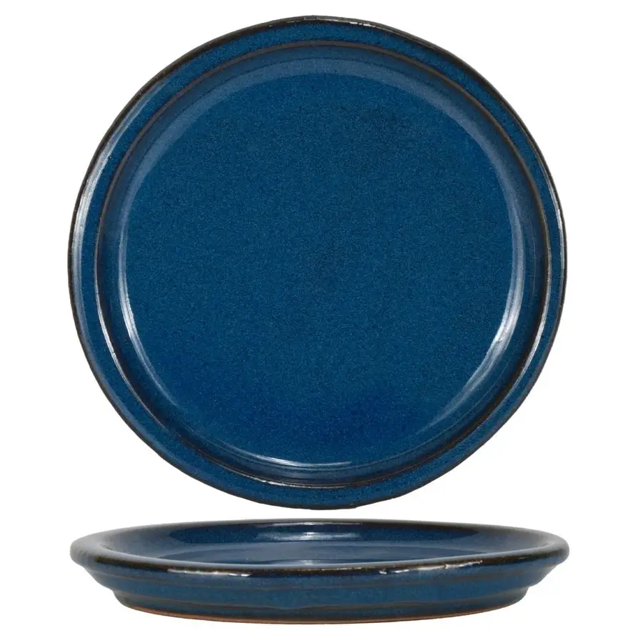 Ceramic Plant Saucer Plant Trays for Indoor Pots Blue, 10 inches, 2 Packs
Ceramic Plant Saucer Plant Trays for Indoor Pots Blue, 10 inches, 2 Packs