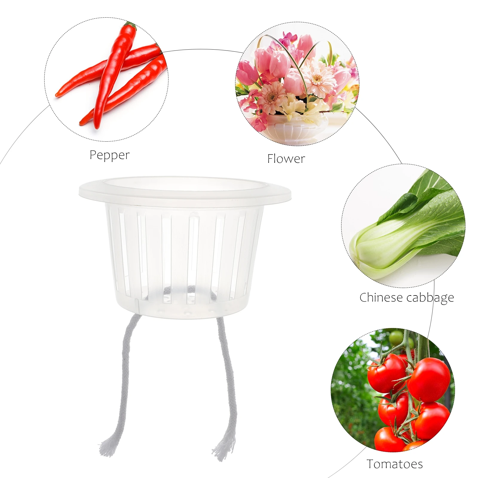 Soilless Hydroponic Plant Pot Garden Net Cup Durable Plastic Nursery Basket Easy Clean Household Gardening
Soilless Hydroponic Plant Pot Garden Net Cup Durable Plastic Nursery Basket Easy Clean Household Gardening