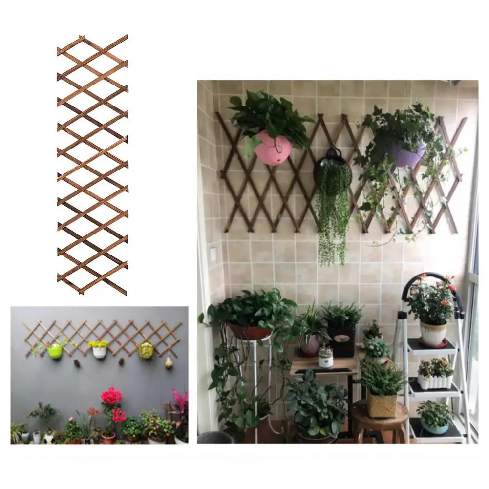 Expandable Wooden Trellis Air Plants Wooden Trellis Expandable Wooden Trellis Versatile Wall Decoration for Climbing Plants
Expandable Wooden Trellis Air Plants Wooden Trellis Expandable Wooden Trellis Versatile Wall Decoration for Climbing Plants