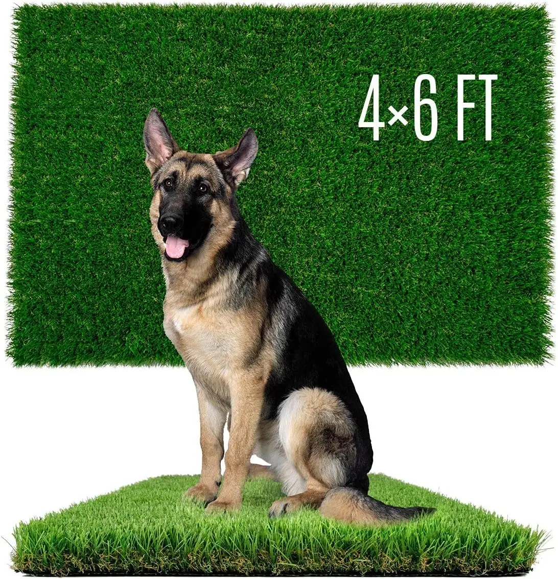 Artificial Grass for Dogs, Extra Large 4x6ft Turf, Reusable Puppy Potty Training Pad Indoor Outdoor
Artificial Grass for Dogs, Extra Large 4x6ft Turf, Reusable Puppy Potty Training Pad Indoor Outdoor