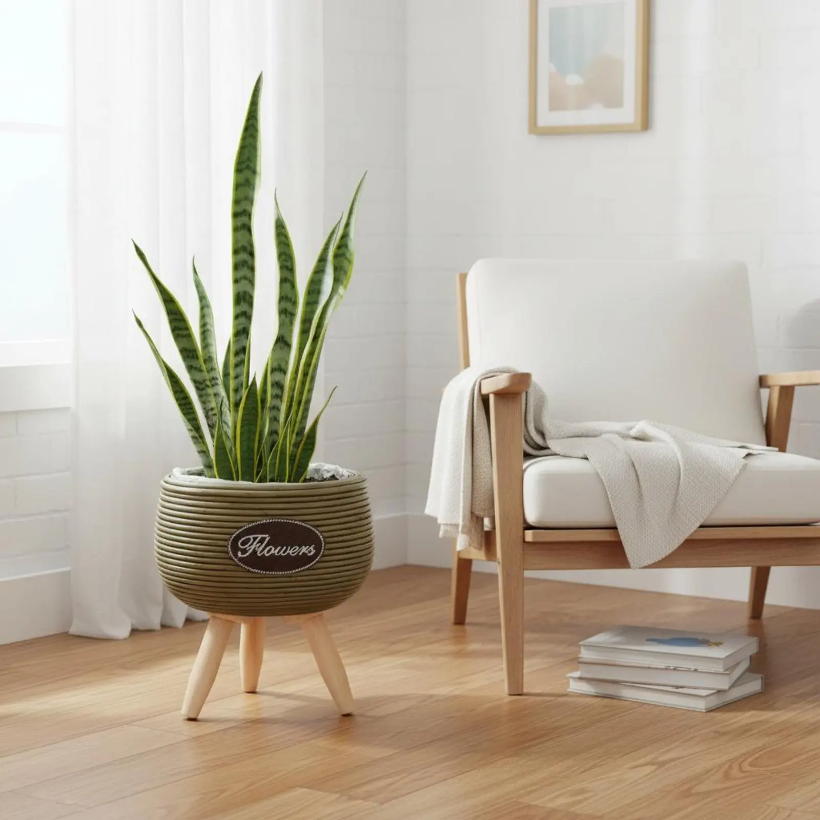 Tripod Planter Modern Design Wooden Leg Planter Single Plant Holder Lightweight Home Decor Easy to Clean for Living Room
Tripod Planter Modern Design Wooden Leg Planter Single Plant Holder Lightweight Home Decor Easy to Clean for Living Room