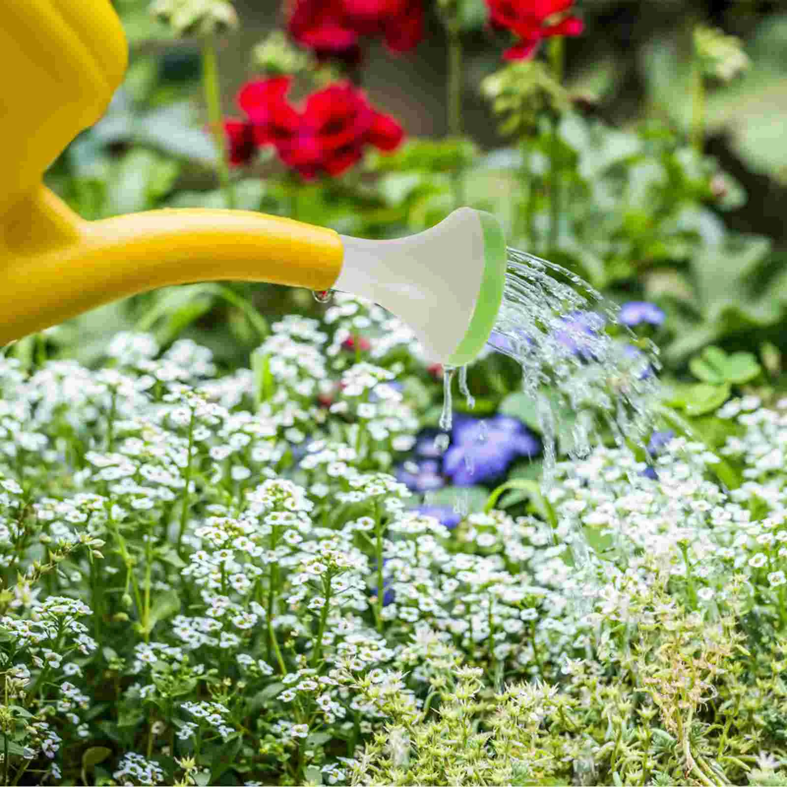 2 Pcs Sprinkler for Watering Can 1 7cm Inner Diameter Easy Install Disassemble Fine Material Even Water Suitable Most
2 Pcs Sprinkler for Watering Can 1 7cm Inner Diameter Easy Install Disassemble Fine Material Even Water Suitable Most