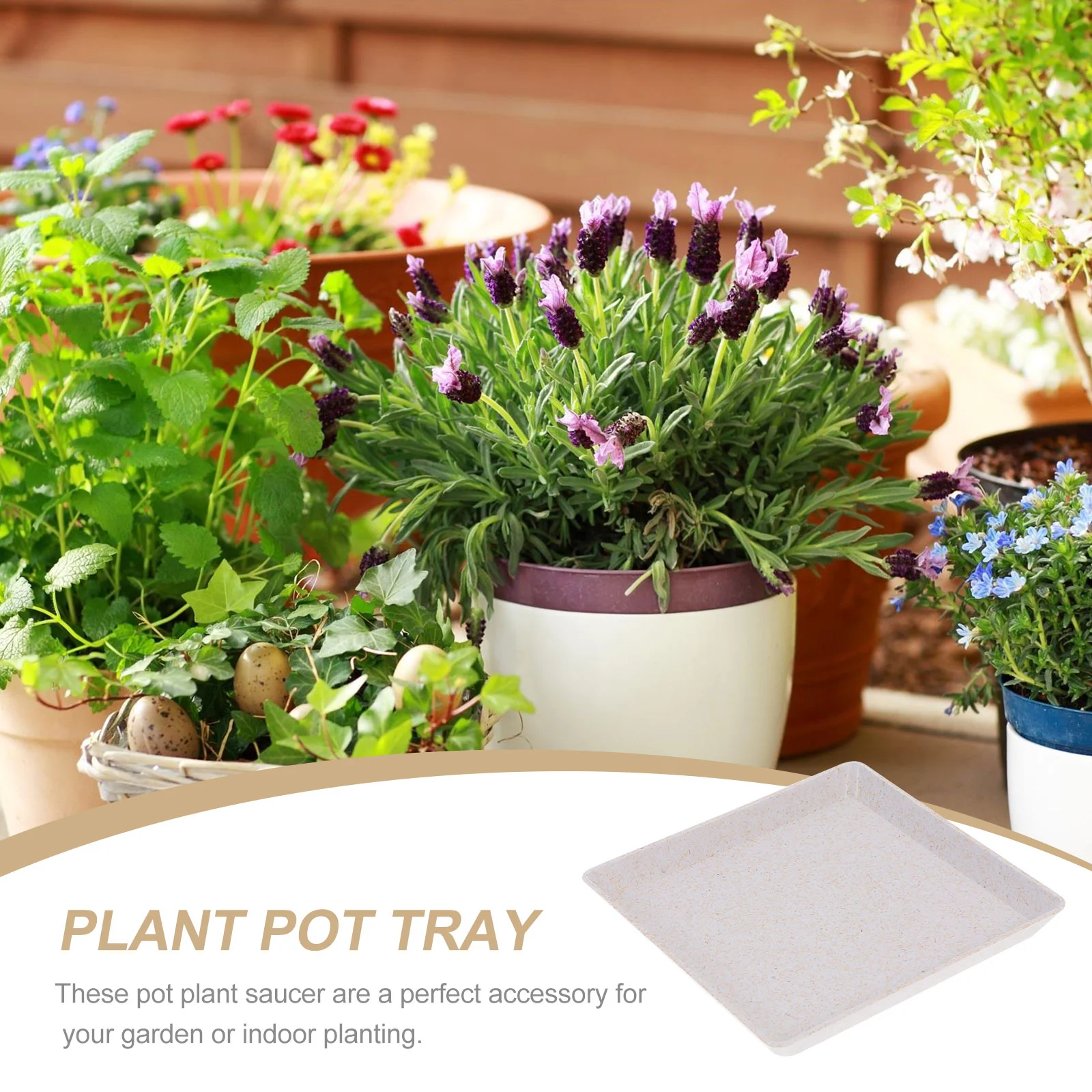 2 Pcs Flower Pot Tray Flowerpot Bases Water Trays Plant Basin Plate Garden Supplies Gardening Plastic Cactus Balcony
2 Pcs Flower Pot Tray Flowerpot Bases Water Trays Plant Basin Plate Garden Supplies Gardening Plastic Cactus Balcony