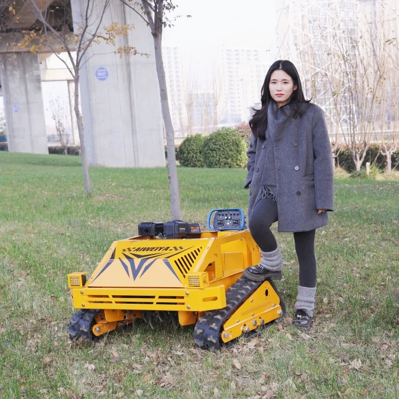 Новая индивидуальная газонокосилка с дистанционным управлением, ширина скашивания 550 мм, миниатюрная, с сертификатом CE, высокомощная газонокосилка
Новая индивидуальная газонокосилка с дистанционным управлением, ширина скашивания 550 мм, миниатюрная, с сертификатом CE, высокомощная газонокосилка