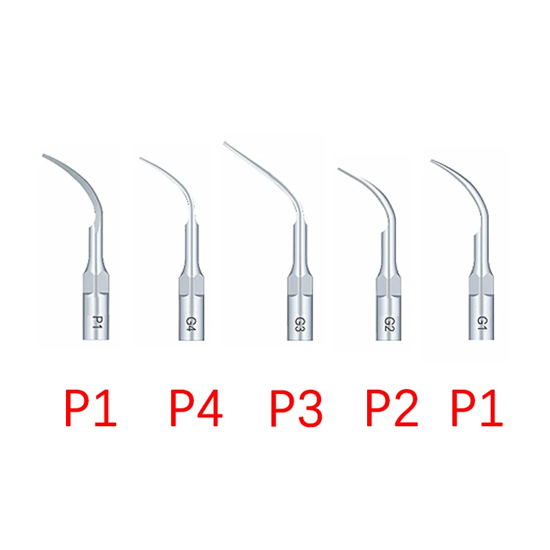 5 puntas de trabajo Wood-Pecker G1G2G3G4P1 para limpieza woodpecker dental dental material
5 puntas de trabajo Wood-Pecker G1G2G3G4P1 para limpieza woodpecker dental dental material