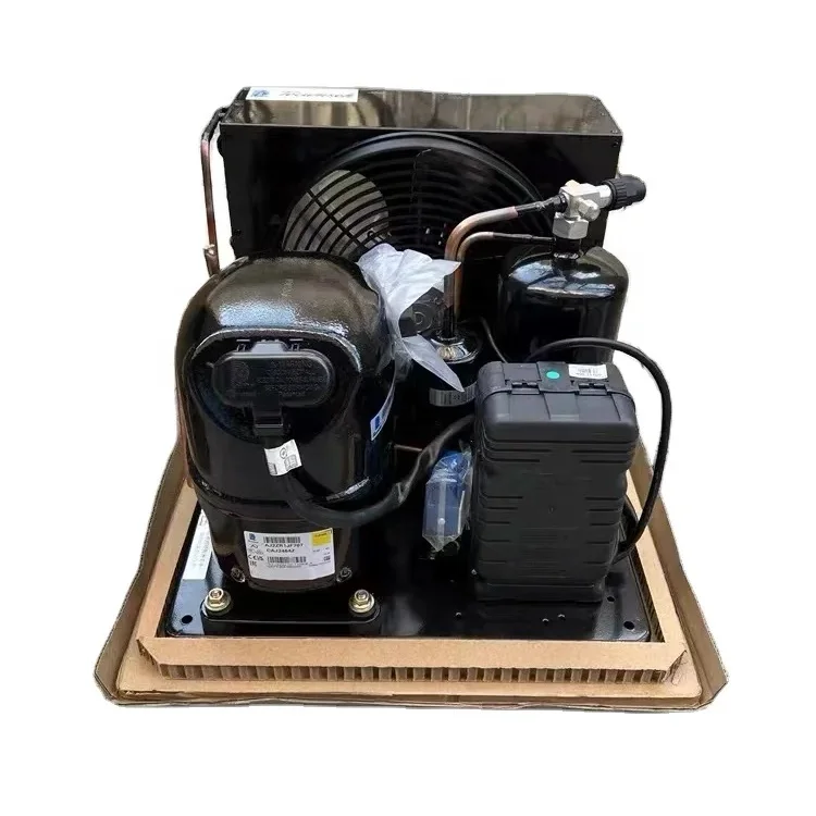 CAJ9510Z TAJ2446Z Tecumseh Refrigerating Unit 1hp G-as R404 Refrigeration Compressor for Cold Room
CAJ9510Z TAJ2446Z Tecumseh Refrigerating Unit 1hp G-as R404 Refrigeration Compressor for Cold Room