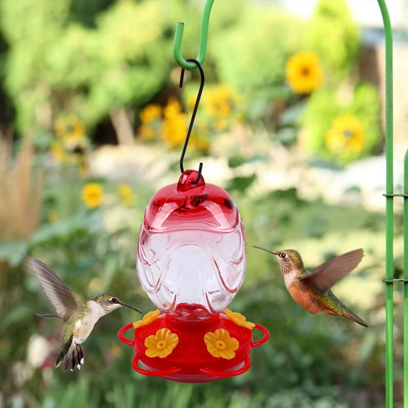 M12khummingbird Feeders For Outdoors Hanging, Hand Blown Glass Hummingbird Feeder 15 Oz Sealed And Leak With Feeder
M12khummingbird Feeders For Outdoors Hanging, Hand Blown Glass Hummingbird Feeder 15 Oz Sealed And Leak With Feeder