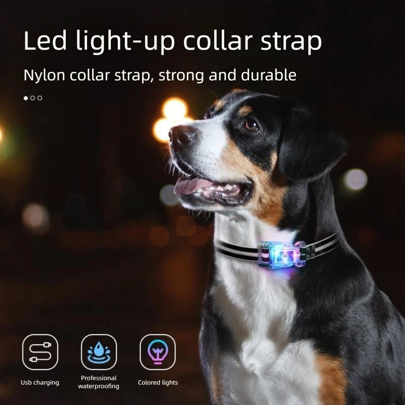 LED Light Dog Collar Anti Bark Training Device Luminous Night Safety Adjustable Pet Neck Strap for Puppy Outdoor Walking
LED Light Dog Collar Anti Bark Training Device Luminous Night Safety Adjustable Pet Neck Strap for Puppy Outdoor Walking