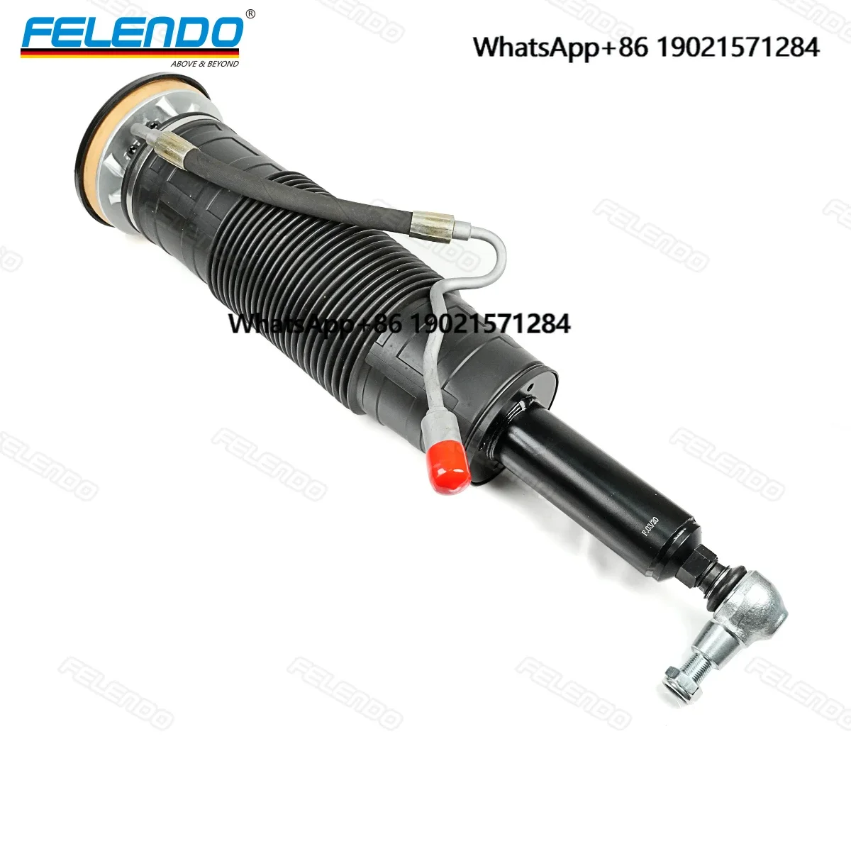 Felendo Air Suspension Spring Strut Shock Absorber 2213202313 2213202413 2213204313 2213208313 for Mercedes W221 C216 S550
Felendo Air Suspension Spring Strut Shock Absorber 2213202313 2213202413 2213204313 2213208313 for Mercedes W221 C216 S550