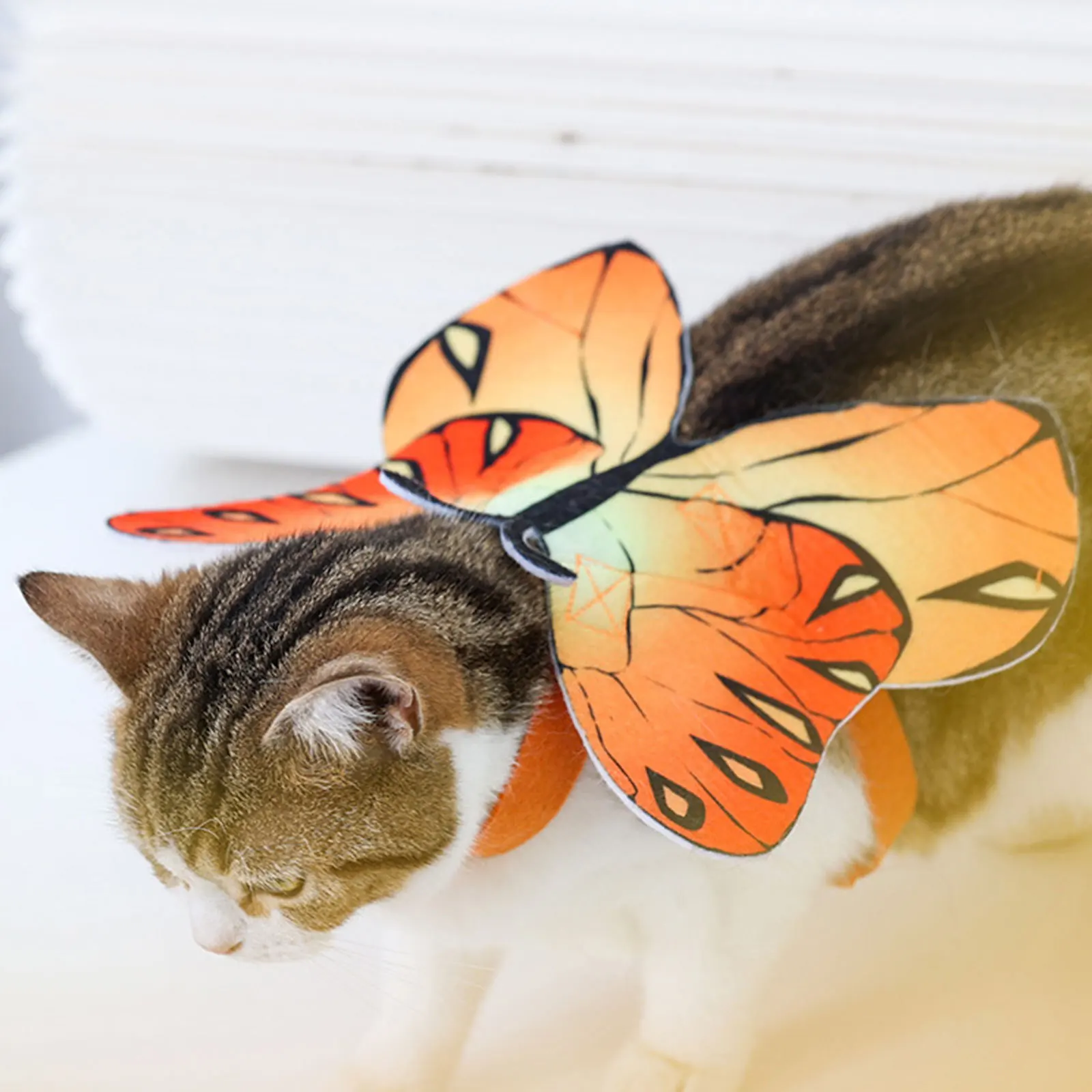 Halloween Cat Butterfly Printed Clothes Breathable Lightweight Pet Costume Soft Cat Cosplay Clothes
Halloween Cat Butterfly Printed Clothes Breathable Lightweight Pet Costume Soft Cat Cosplay Clothes